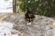 IMG_0045