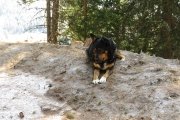 IMG_0046