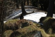 IMG_0052