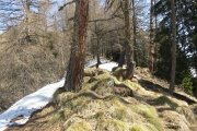 IMG_0054