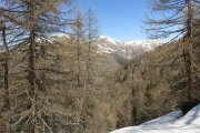 IMG_0055