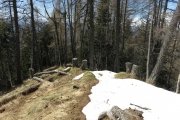 IMG_0062