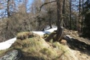 IMG_0064