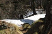 IMG_0066