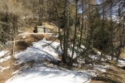 IMG_0081