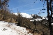 IMG_0086
