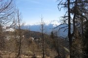 IMG_0090