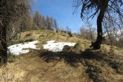 IMG_0092