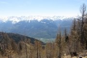IMG_0094