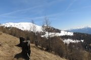IMG_0098