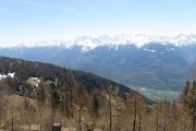 IMG_0101