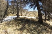 IMG_0110