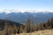 IMG_0112
