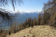 IMG_0120