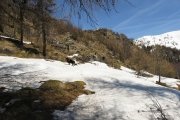 IMG_0122