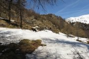 IMG_0123