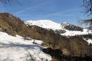 IMG_0126