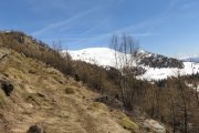 IMG_0131