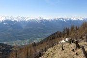 IMG_0135
