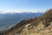 IMG_0146