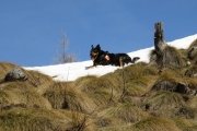 IMG_0155