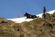 IMG_0158