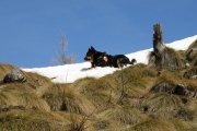 IMG_0160
