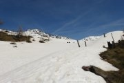 IMG_0162