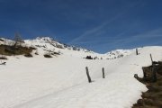IMG_0164