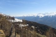 IMG_0165
