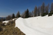 IMG_0168