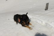 IMG_0170