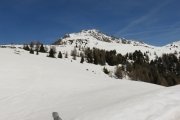 IMG_0172