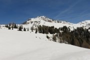 IMG_0178