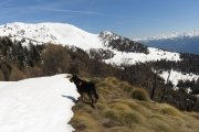 IMG_0181