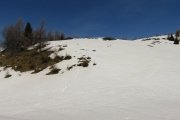 IMG_0194