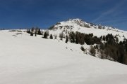 IMG_0196