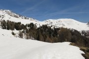IMG_0198