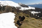 IMG_0207