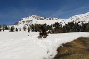 IMG_0208