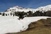 IMG_0211
