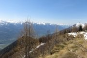 IMG_0212