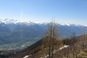 IMG_0220