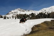 IMG_0224