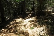 IMG_0236