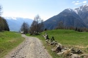 IMG_0240