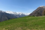 IMG_0242
