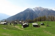 IMG_0244