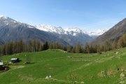 IMG_0246