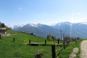 IMG_0248